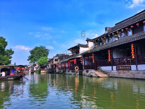 蒲公英的抗癌潜能再被肯定:研究揭示其能杀灭大部分癌细胞